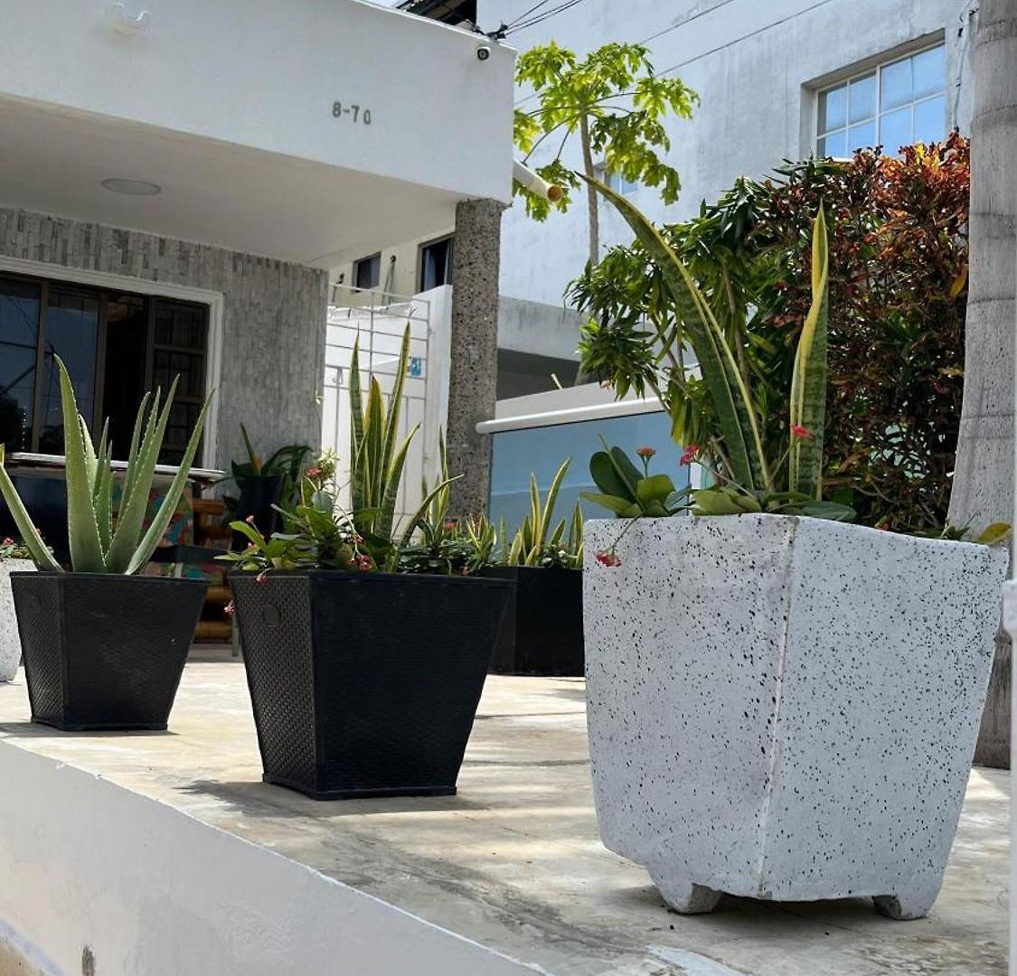 Hotel Airport Crespo *